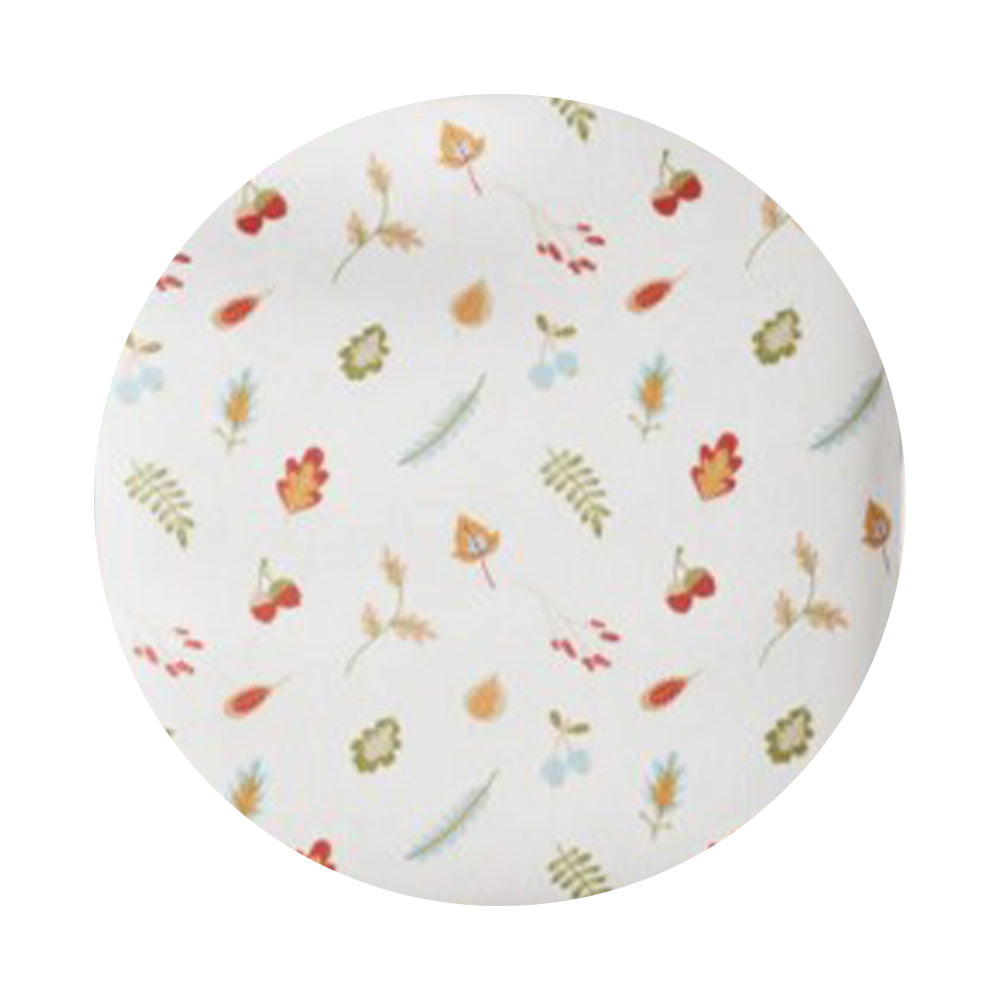 🌰 Little Acorns 🍂