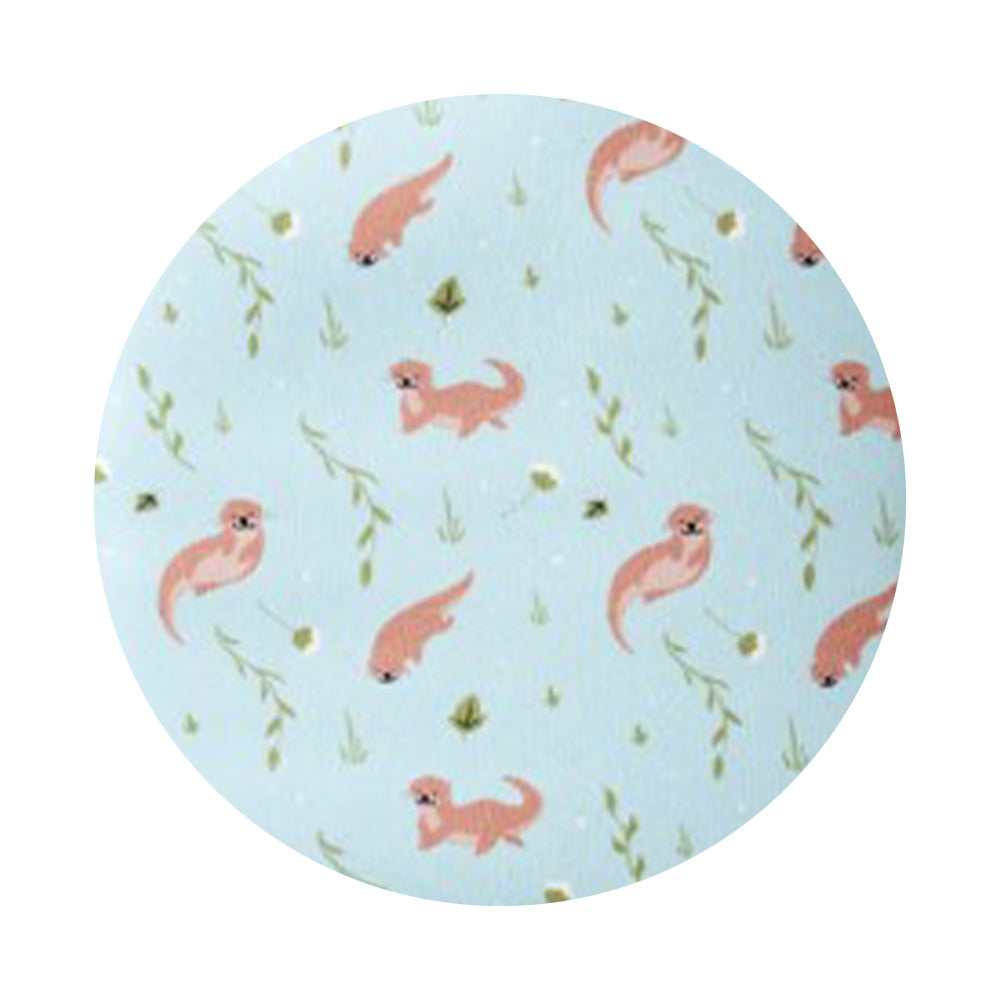 🦦 Playful Otters 🏞️